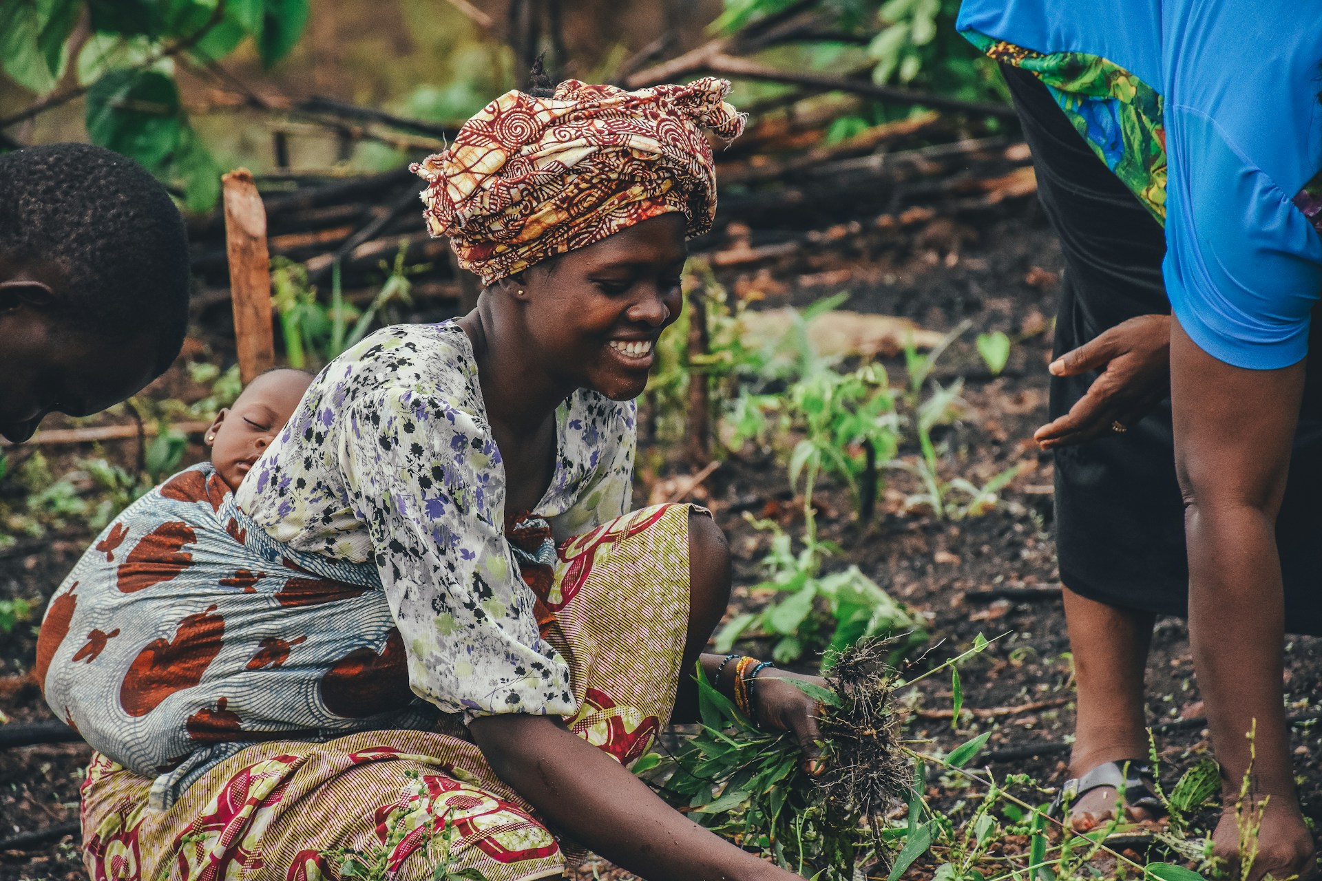 Farmer Partnerships